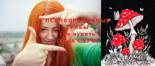 тгк Алексин
