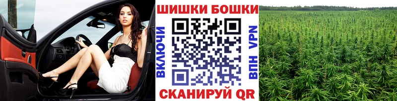 Бошки Шишки семена  купить наркотик  Новая Ляля 